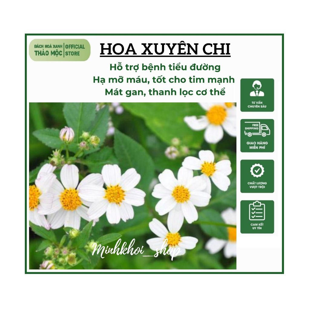 ảnh hoa xuyến chi 0050