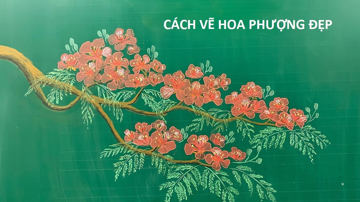 hình nền ảnh hoa phượng 0037