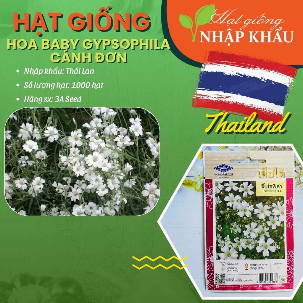 hình nền hoa baby xanh 0092