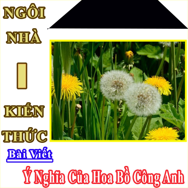 hình nền hoa bồ công anh đẹp nhất 0034