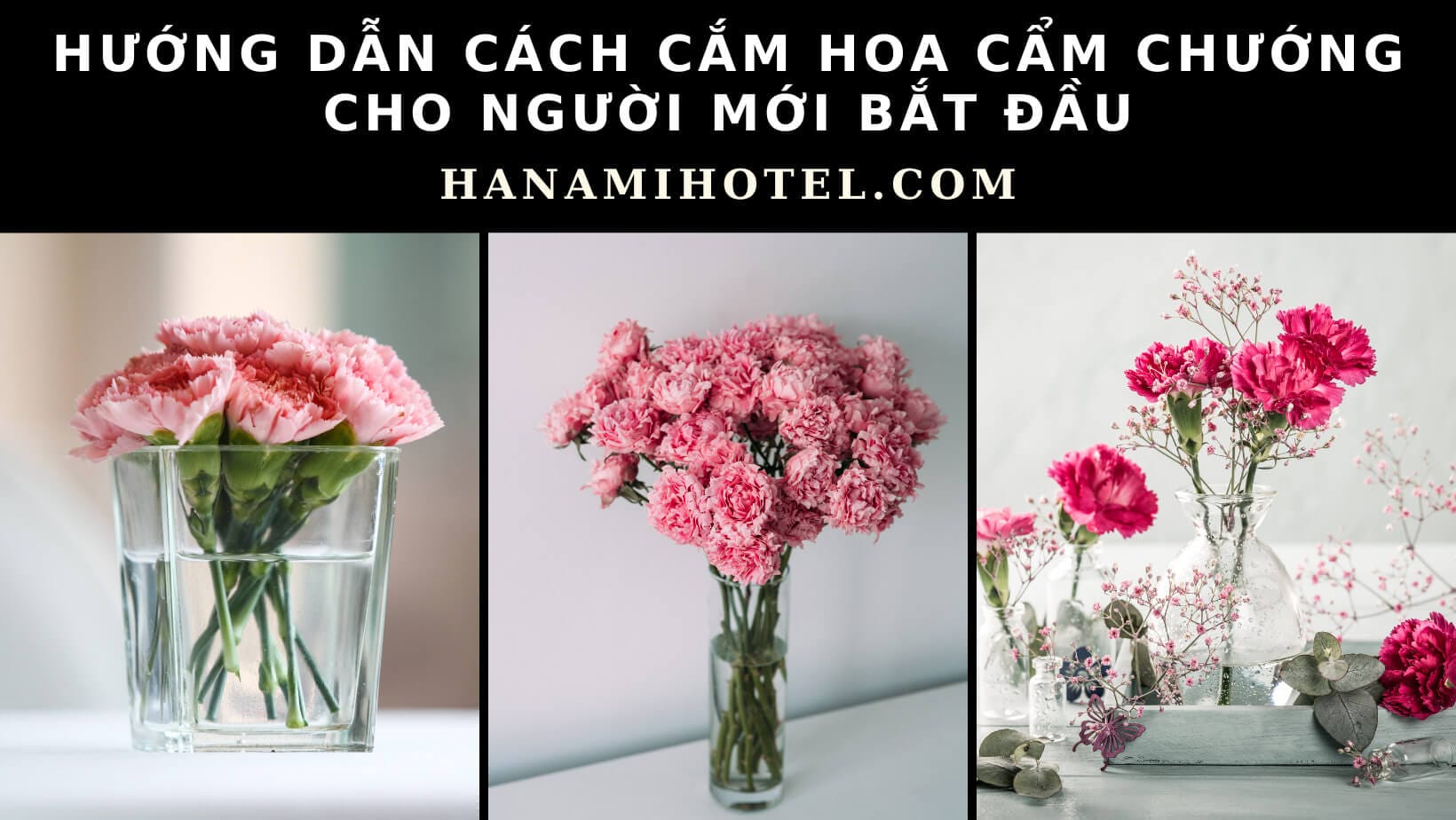 hình nền hoa cẩm chướng dành cho người yêu thiên nhiên