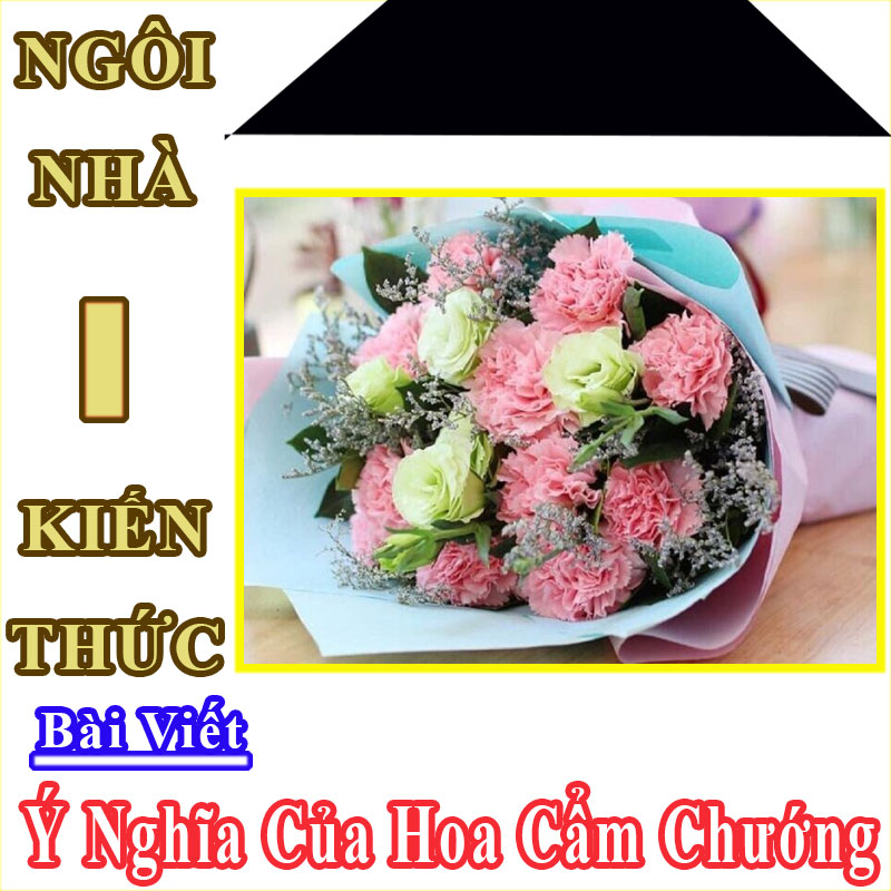 hình nền hoa cẩm chướng 0086