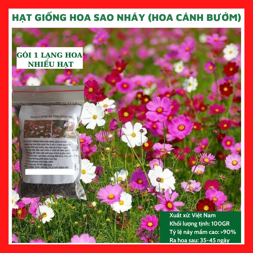 hình nền hoa cánh bướm 0078