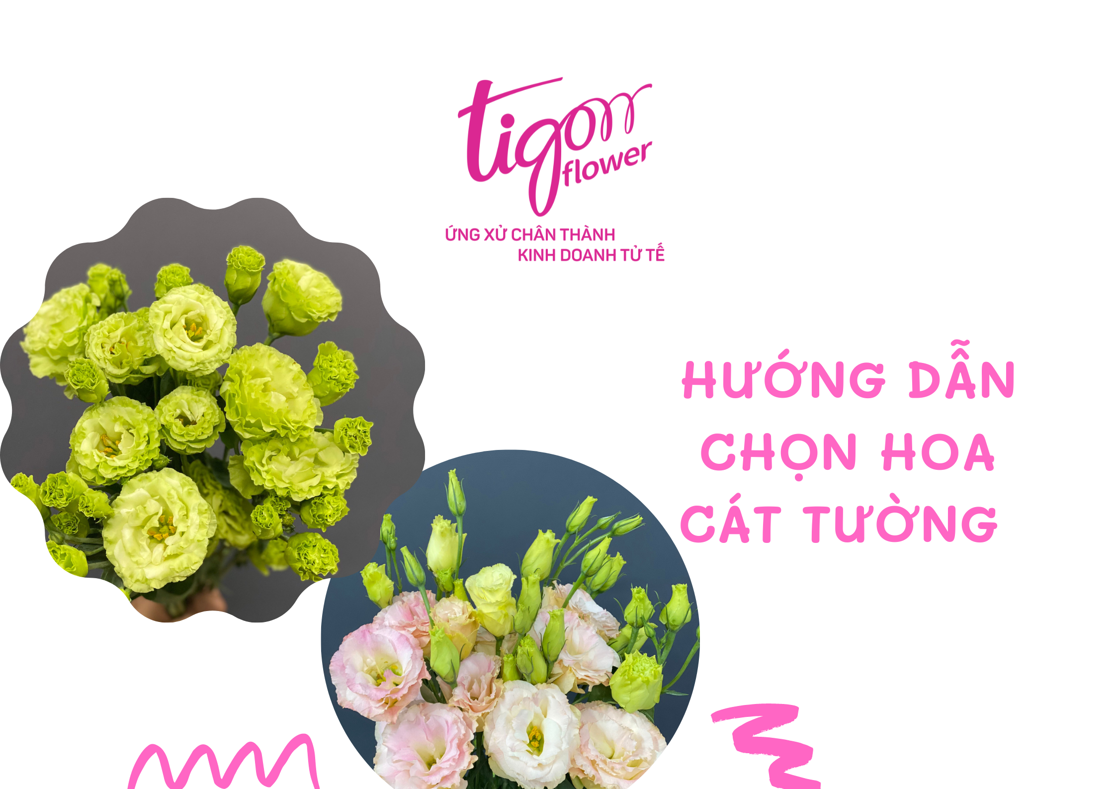 hình nền hoa cát tường 0073