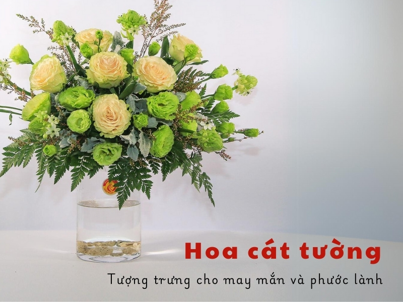 hình nền hoa cát tường 0084