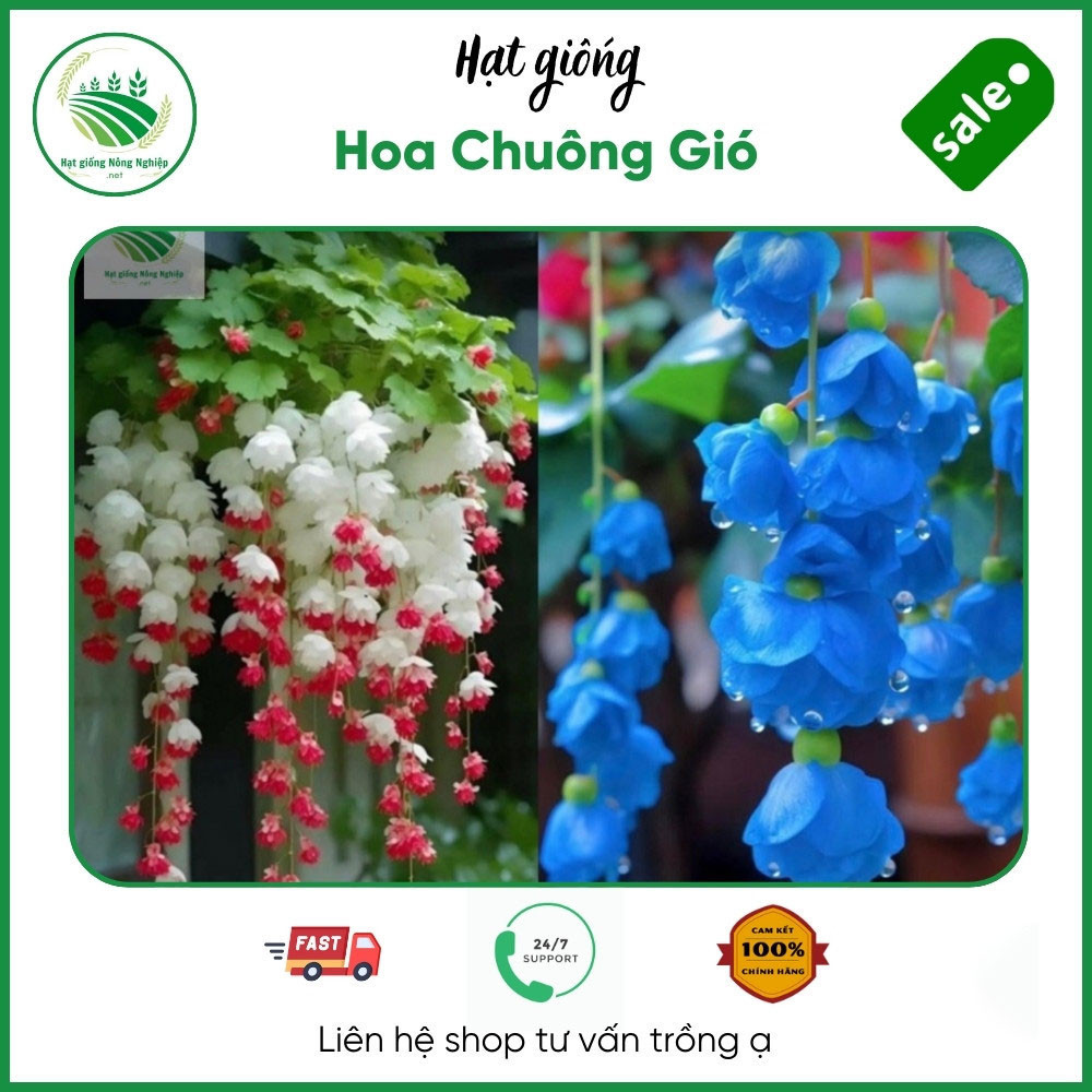 hình nền hoa chuông 0077