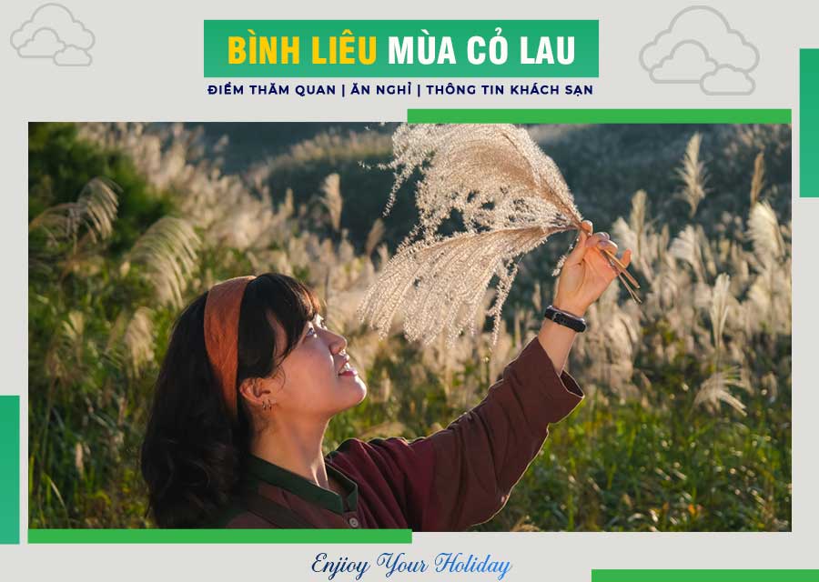 hình nền hoa cỏ lau 0070