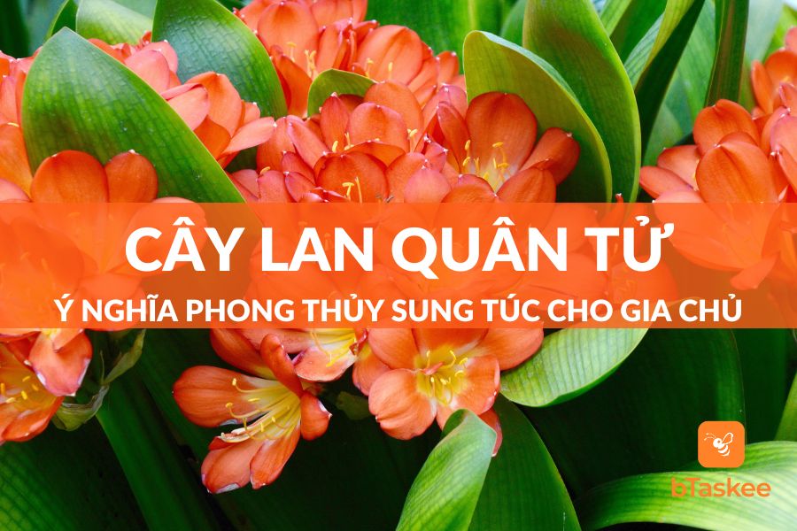 hình nền hoa lan quân tử 0020