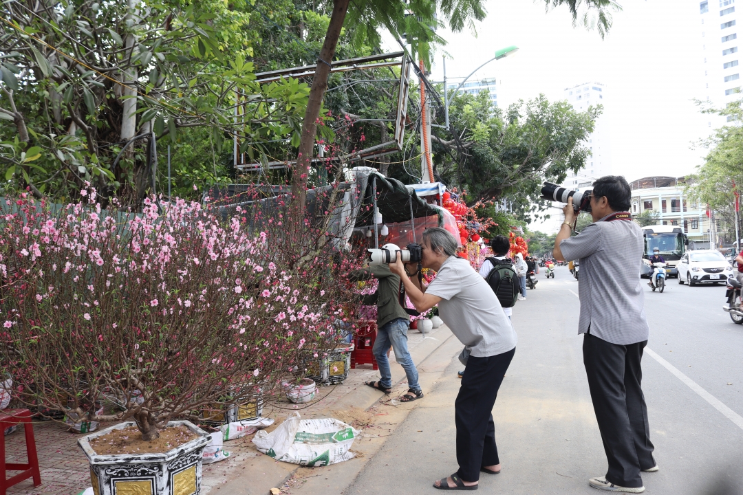 hình nền hoa tết 0038