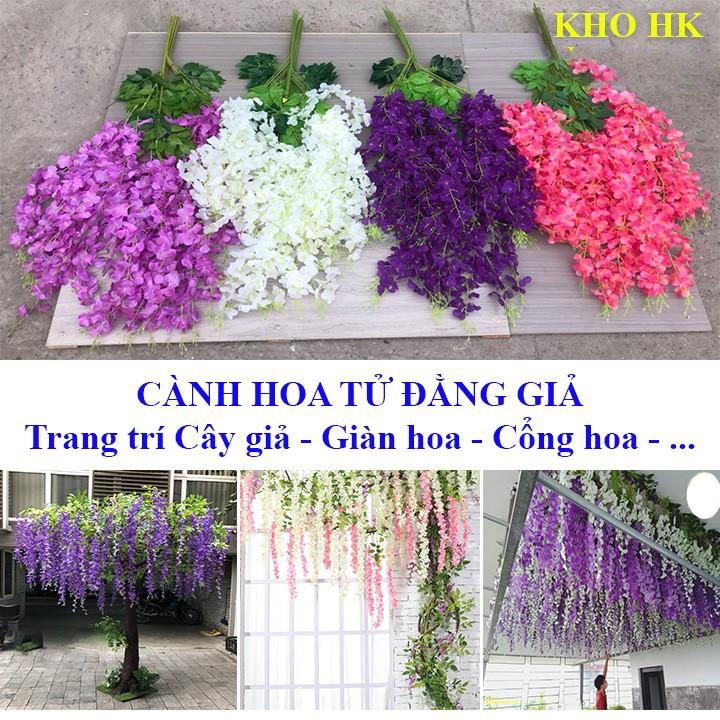 hình nền hoa tử đằng 0046