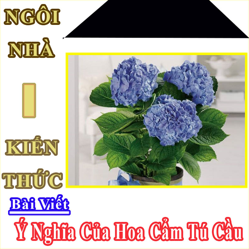 hoa cẩm tú cầu hình nền 0086